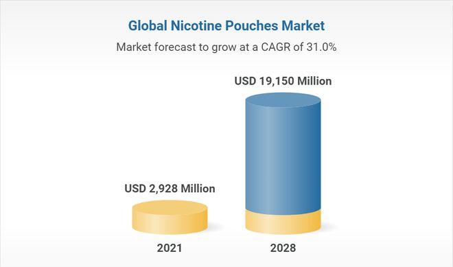 口含袋/唇烟市场规模正在扩大，2030年将超过220亿美元