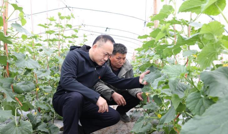 重大新闻！云霄香烟价格一览表“挥汗如雨”