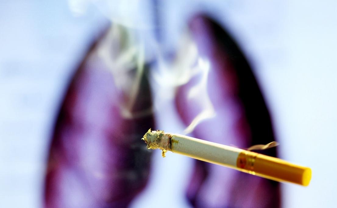 香烟_香烟爱喜香烟薄荷_香烟椰树香烟特醇