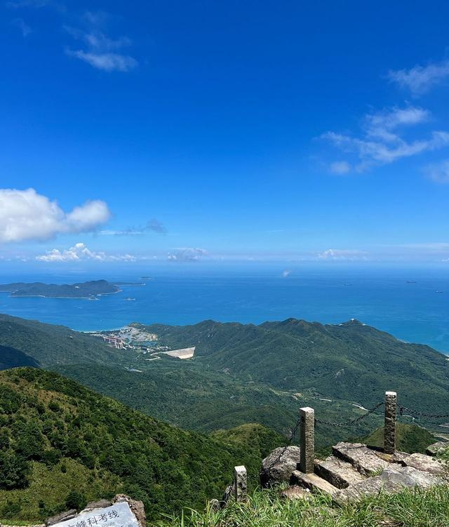 香烟_香烟椰树香烟特醇_香烟回收