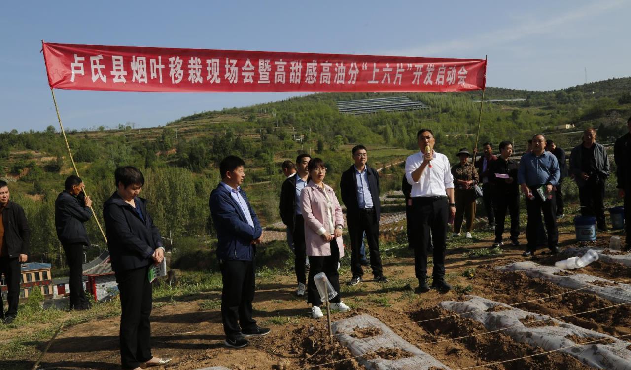 香烟代购_代购香烟犯法吗_免税店代购香烟