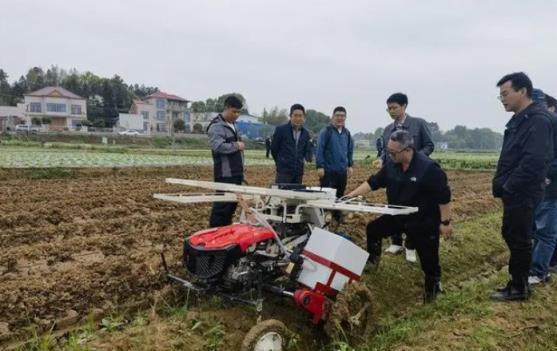 重大来袭！云霄香烟和正规烟一样吗“风吹草动”