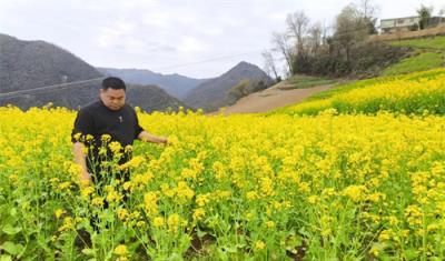 代购香烟的平台_香烟代购_代购香烟犯法吗