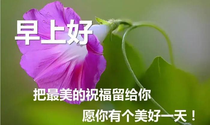 香烟云霄多少一包啊_香烟云霄货和船货什么区别_云霄香烟