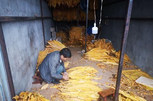 香烟云霄货和船货什么区别_香烟云霄多少一包啊_云霄香烟